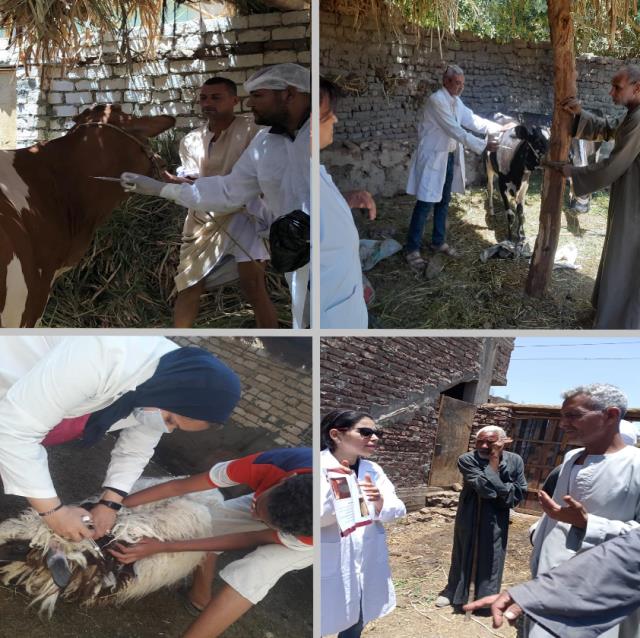 اخبار الاقصر